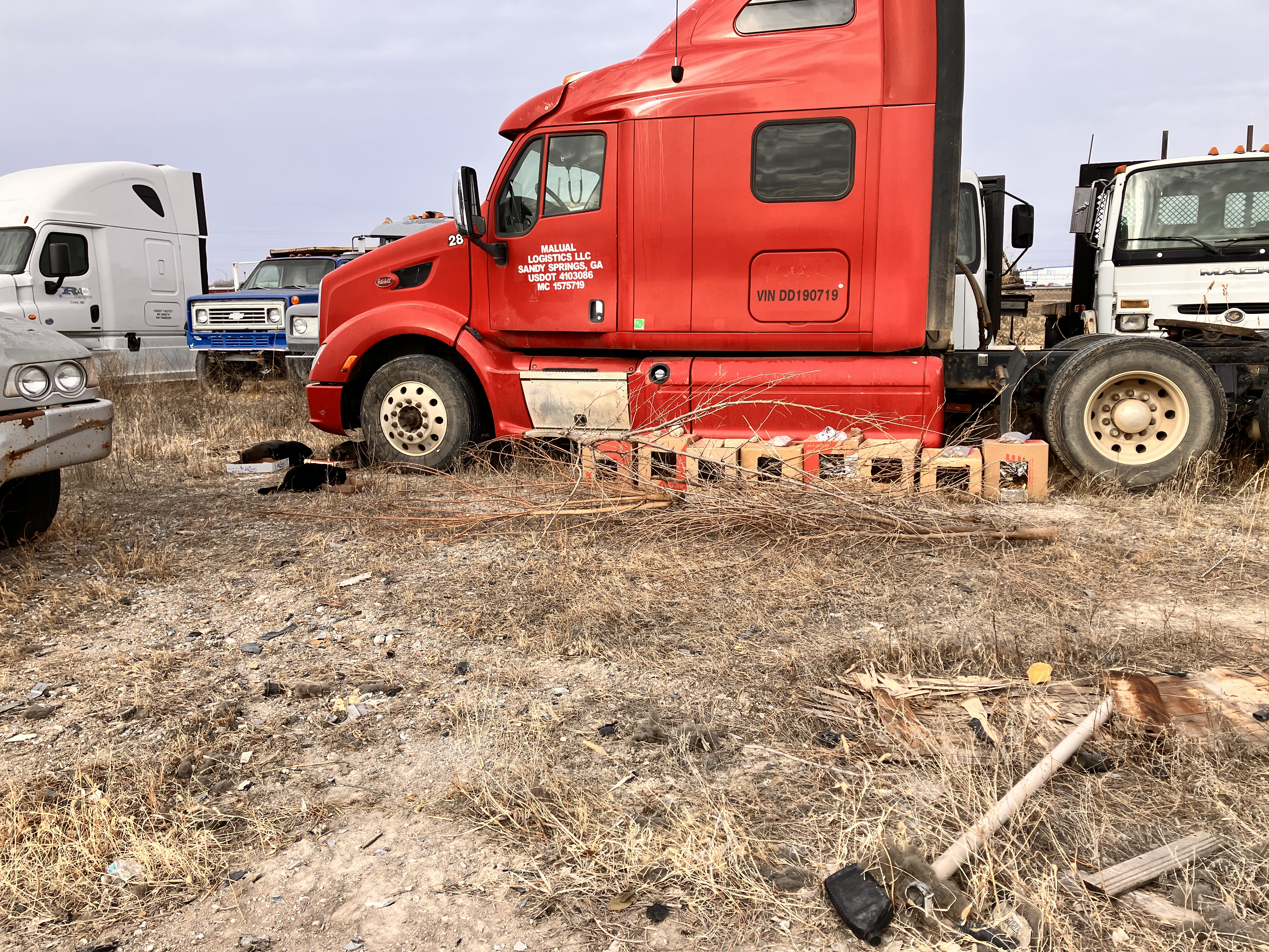 Row of early cardboard shelters lined up beside trucks