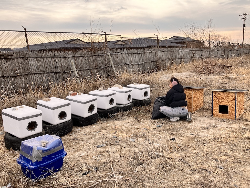 Improved winter shelters being set up