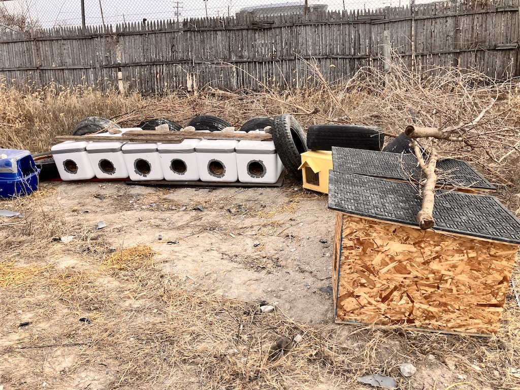 Upgraded insulated shelters arranged in a row to protect cats during winter