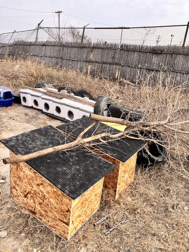 Sturdy wooden shelters added to improve winter protection for the colony